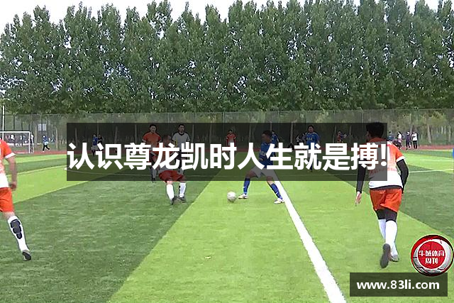 認識尊龙凯时人生就是搏!